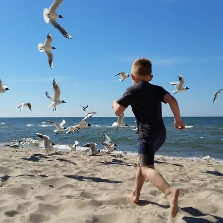 Апартаменты Kornel *